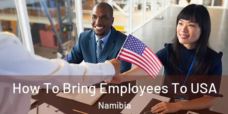 How To Bring Employees To USA Namibia